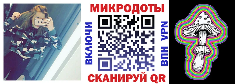 Галлюциногенные грибы Psilocybe  Купить где  Кувшиново 